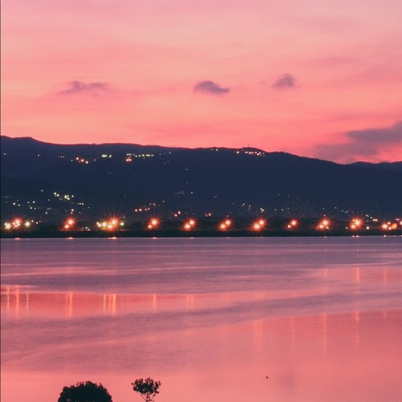 Meet your Posher, Lacey - Picture 1 of 1